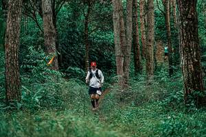 BIB: 
                            <button type="button" onclick="openModal(25237520)" class="btn btn-primary btn-sm float-right btn-popup" data-toggle="modal" data-target=".modal-high-quality">
                        <i class="fas fa-shopping-cart"></i> Add to Cart
                    </button>
                                            <button type="button" onclick="isThisMe(25237520, true)" class="btn btn-success btn-sm float-right btn-popup btn-isme hidden" data-toggle="tooltip" data-placement="bottom" title="นี่คือรูปของคุณใช่ไหม คลิกที่นี่เพื่อเอาเข้าอัลบั้ม">
                        <i class="fas fa-plus"></i> Add to album
                    </button>
                    <button type="button" onclick="isThisMe(25237520, false)" class="btn btn-warning btn-sm float-right btn-popup btn-isnotme hidden">
                        <i class="fas fa-ban"></i> Remove from album
                    </button>